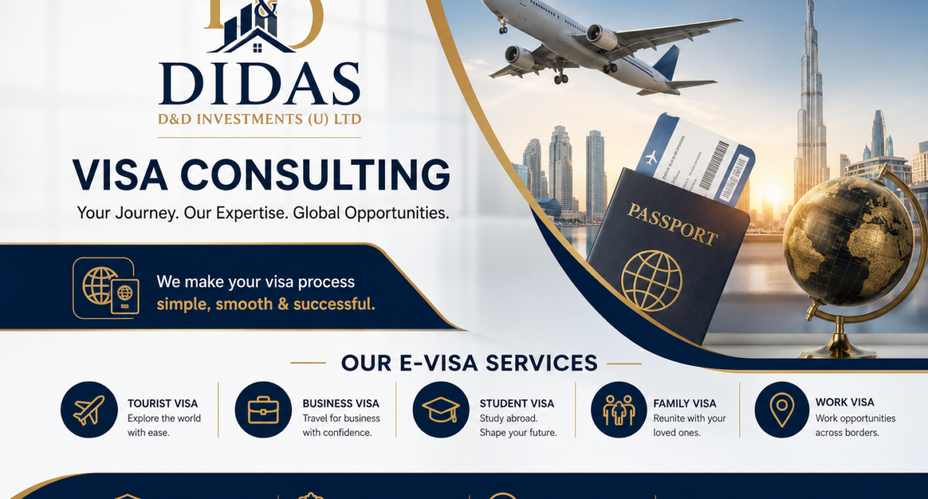 Visa Consulting