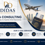 Visa Consulting