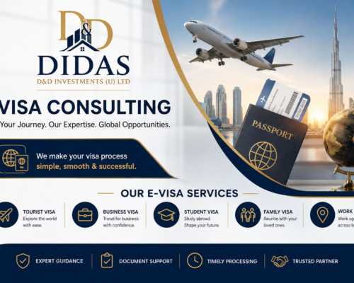 Visa Consulting